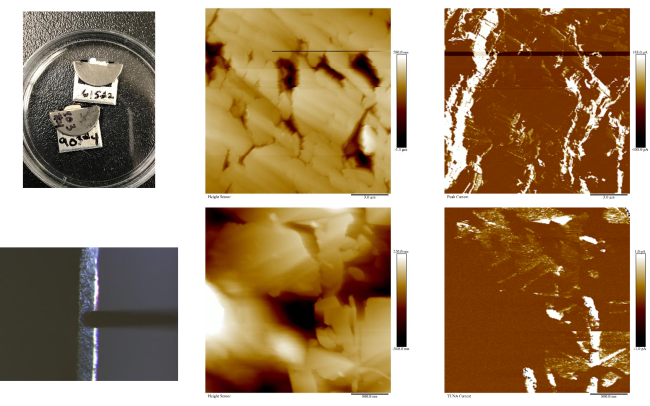AFM: Peakforce TUNA example: Local electronic conductivity